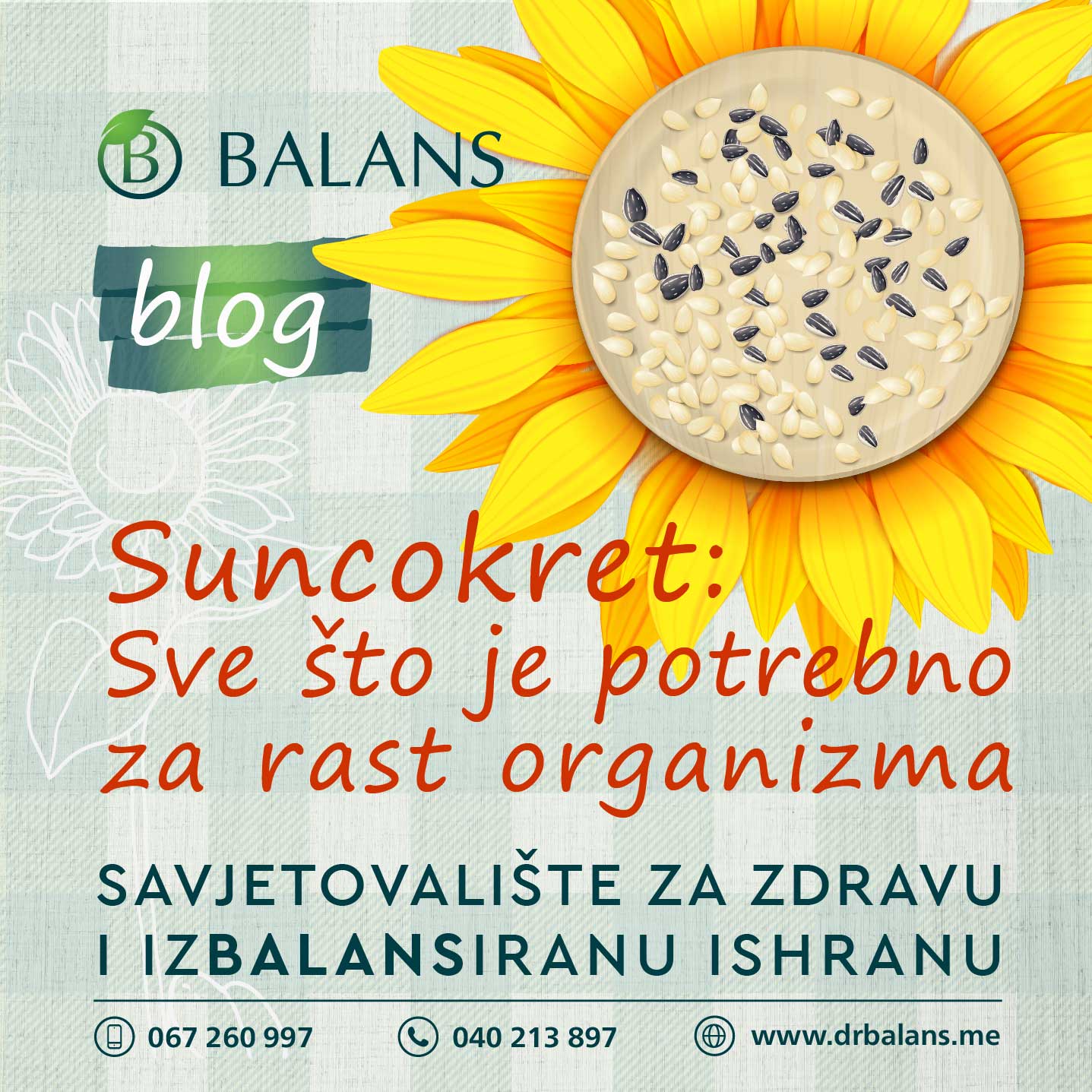 Suncokret